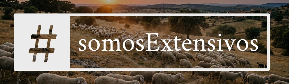 #somosextensivos