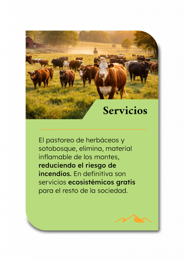 card servicios